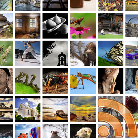 moschos-flickr-fav-rss moschos-flickr-fav-rss