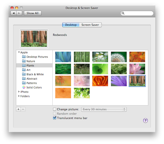Desktop background & screensaver preferences (MAC)