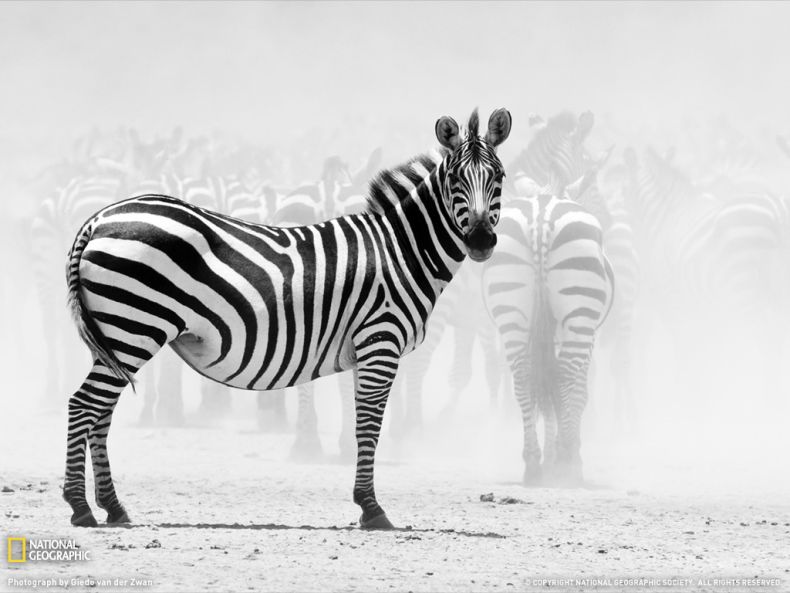 National Geographic photo